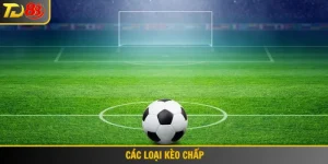 Các loại kèo chấp