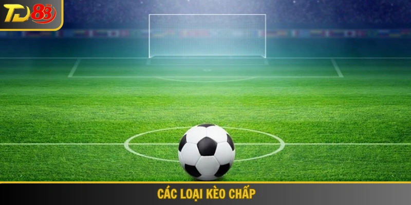 Các loại kèo chấp