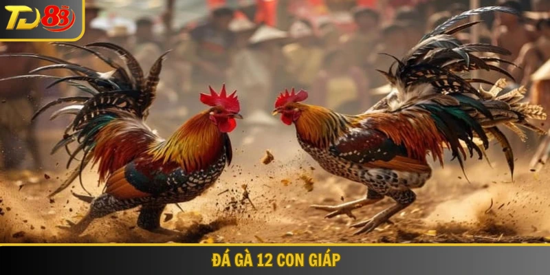 Đá gà 12 con giáp