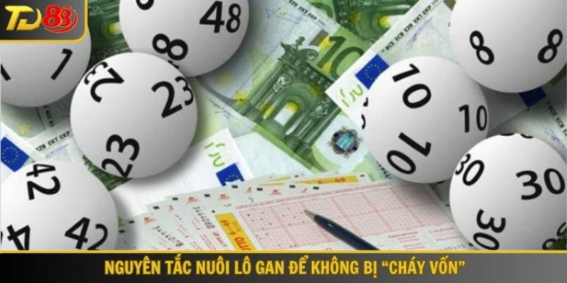 Nguyên tắc nuôi lô gan để không bị “cháy vốn”