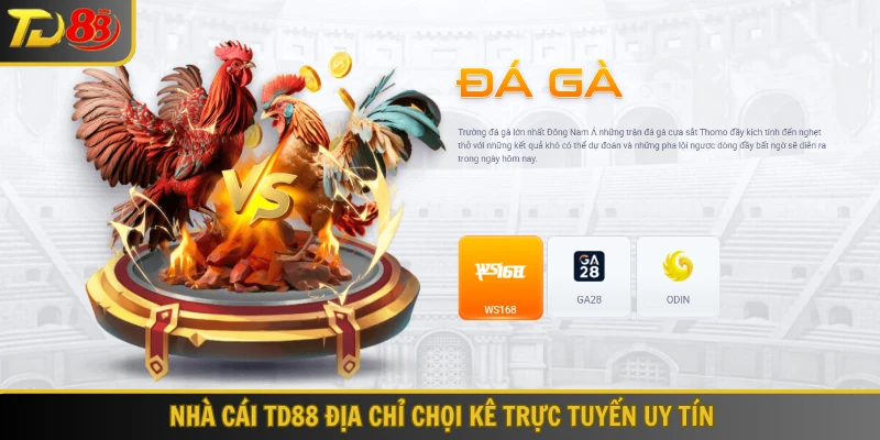 Nhà cái TD88 địa chỉ chọi kê trực tuyến uy tín