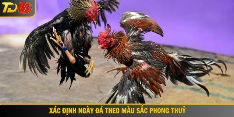Xác định ngày đá theo màu sắc phong thuỷ