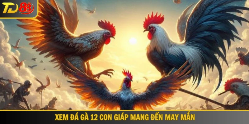 Xem đá gà 12 con giáp mang đến may mắn