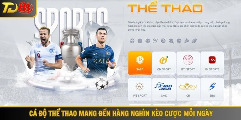 Cá độ thể thao mang đến hàng nghìn kèo cược mỗi ngày