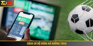cách cá độ bóng đá không thua
