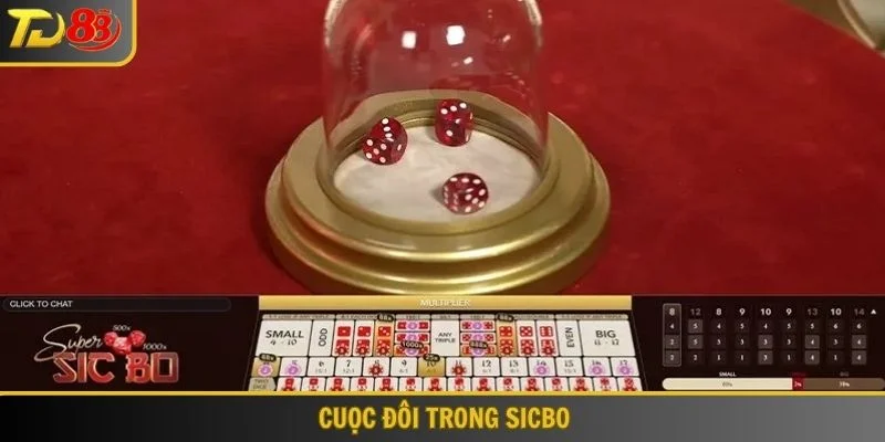 Cược đôi trong Sicbo