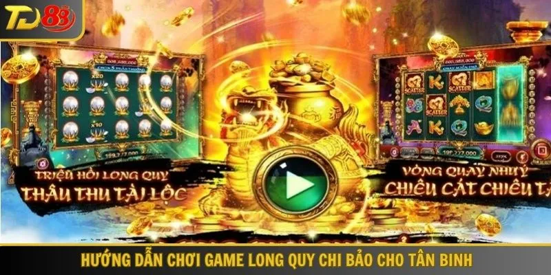 long quy chi bảo