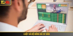 luật cá độ bóng đá cơ bản