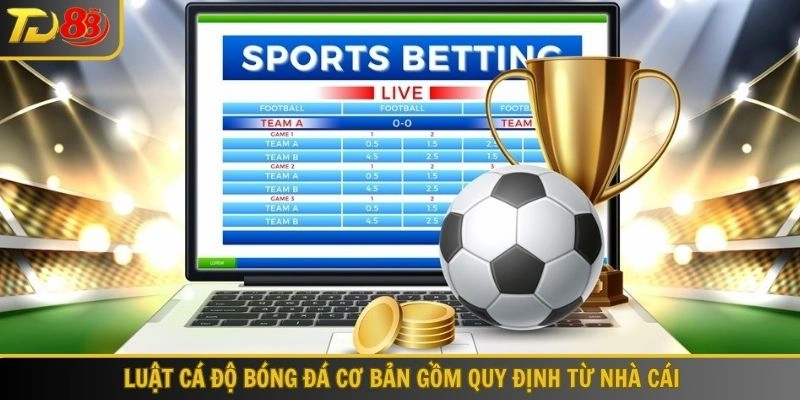 Luật cá độ bóng đá cơ bản gồm quy định từ nhà cái