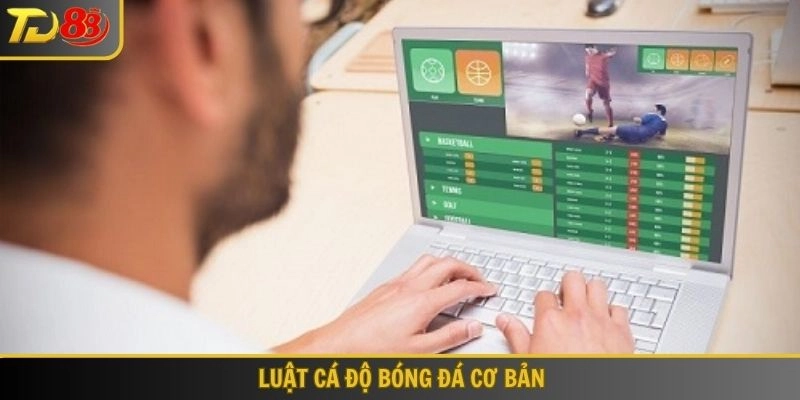 luật cá độ bóng đá cơ bản