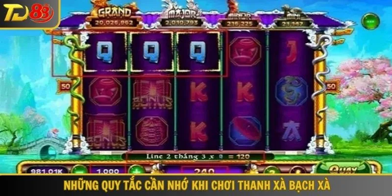Những quy tắc chung cần nhớ khi chơi Thanh xà Bạch xà