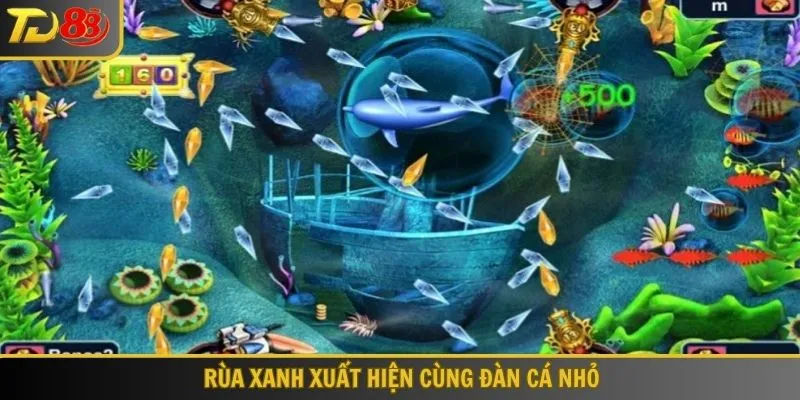 Rùa xanh xuất hiện cùng đàn cá nhỏ