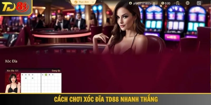 xóc dĩa td88
